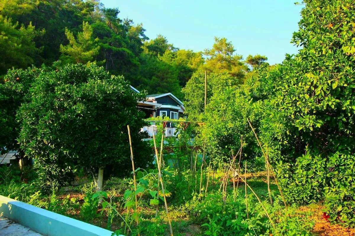 Agora Evi Vila Camlıkoy 0*,  Turquia
